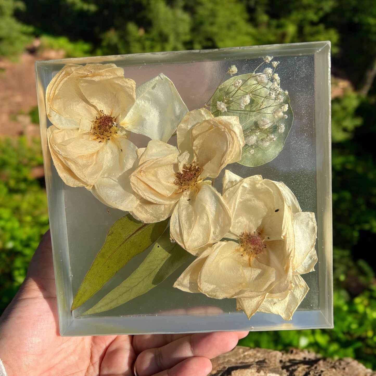 A crystal clear resin block filled with white roses , white babys breath , and leaves . A beautiful way to preserve a bridal bouquet.