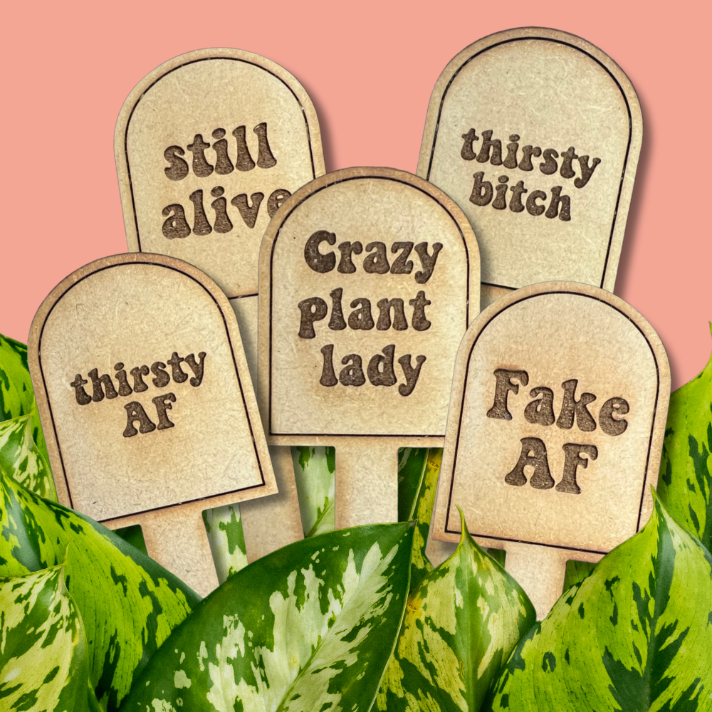 house plant stakes Snarky Plant Stakes