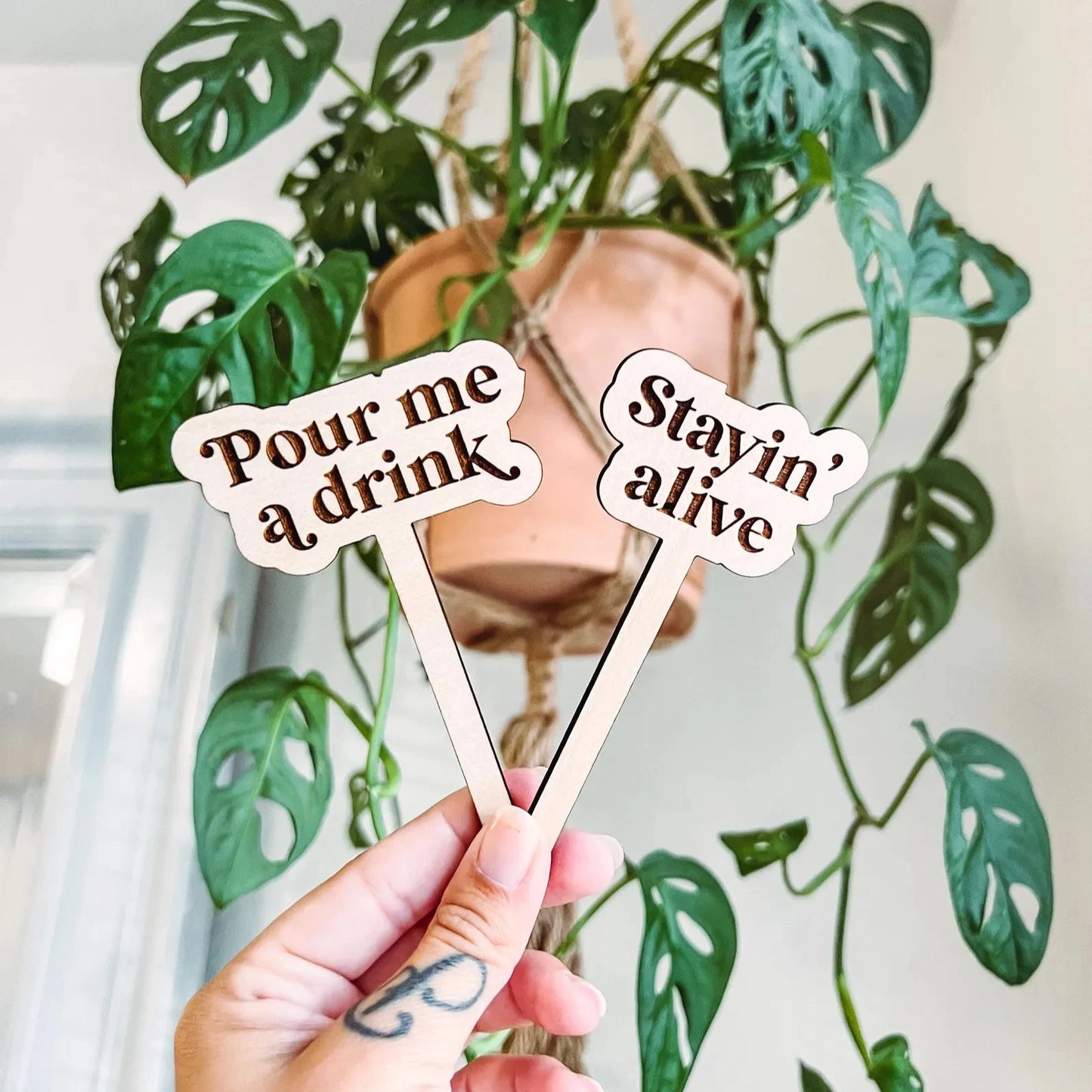 Snarky Plant Stakes