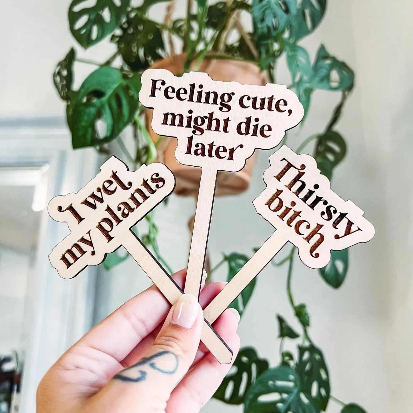 Snarky Plant Stakes