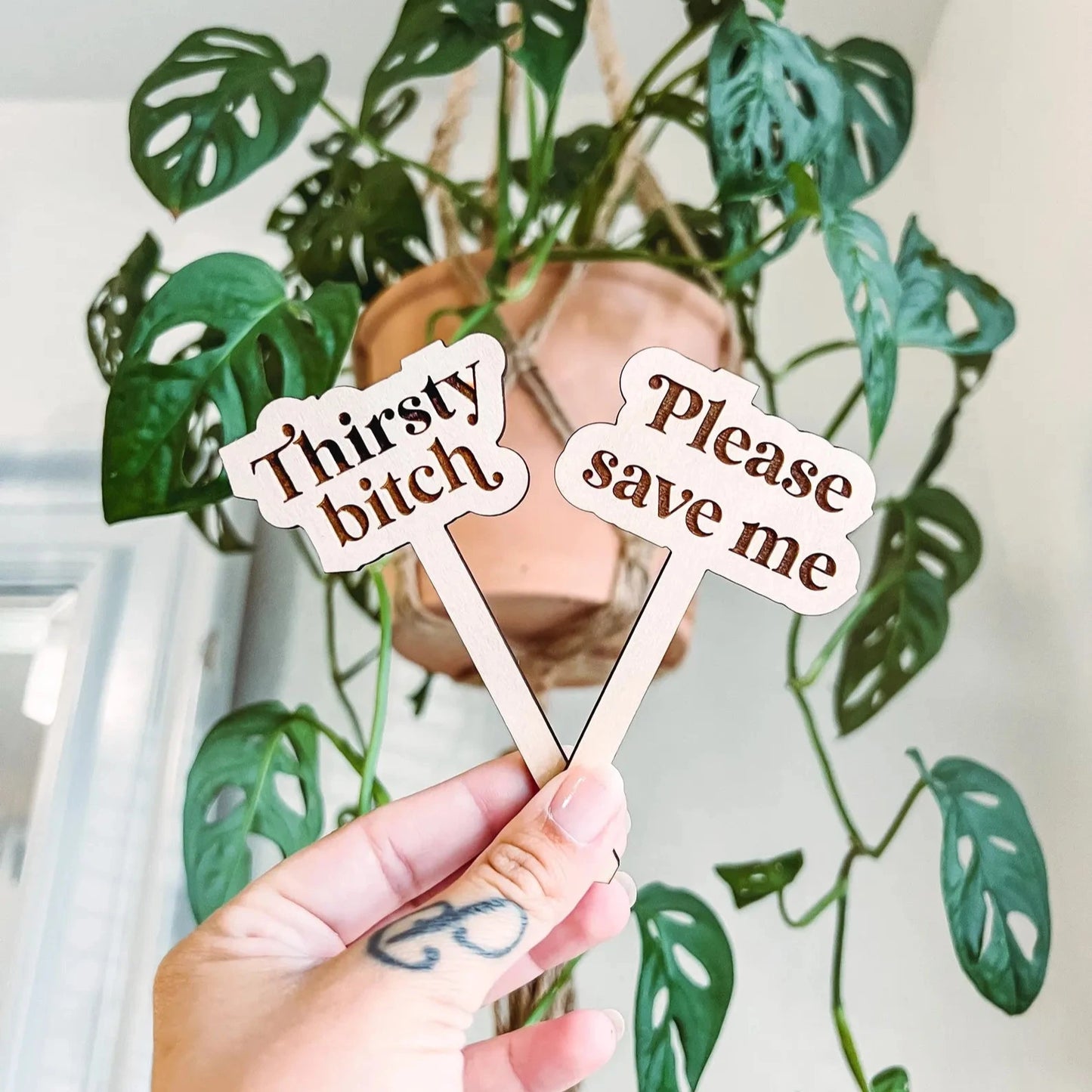Snarky Plant Stakes