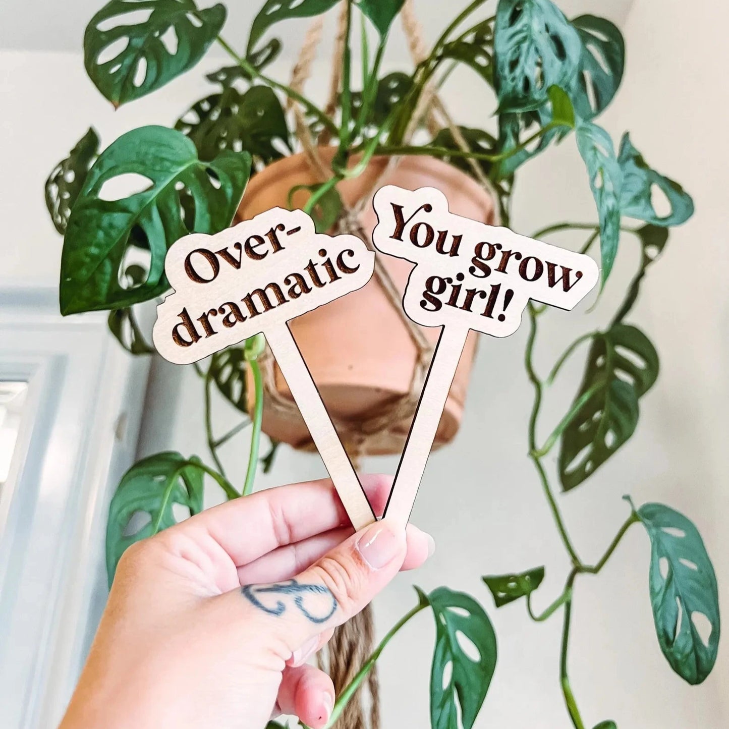 Snarky Plant Stakes