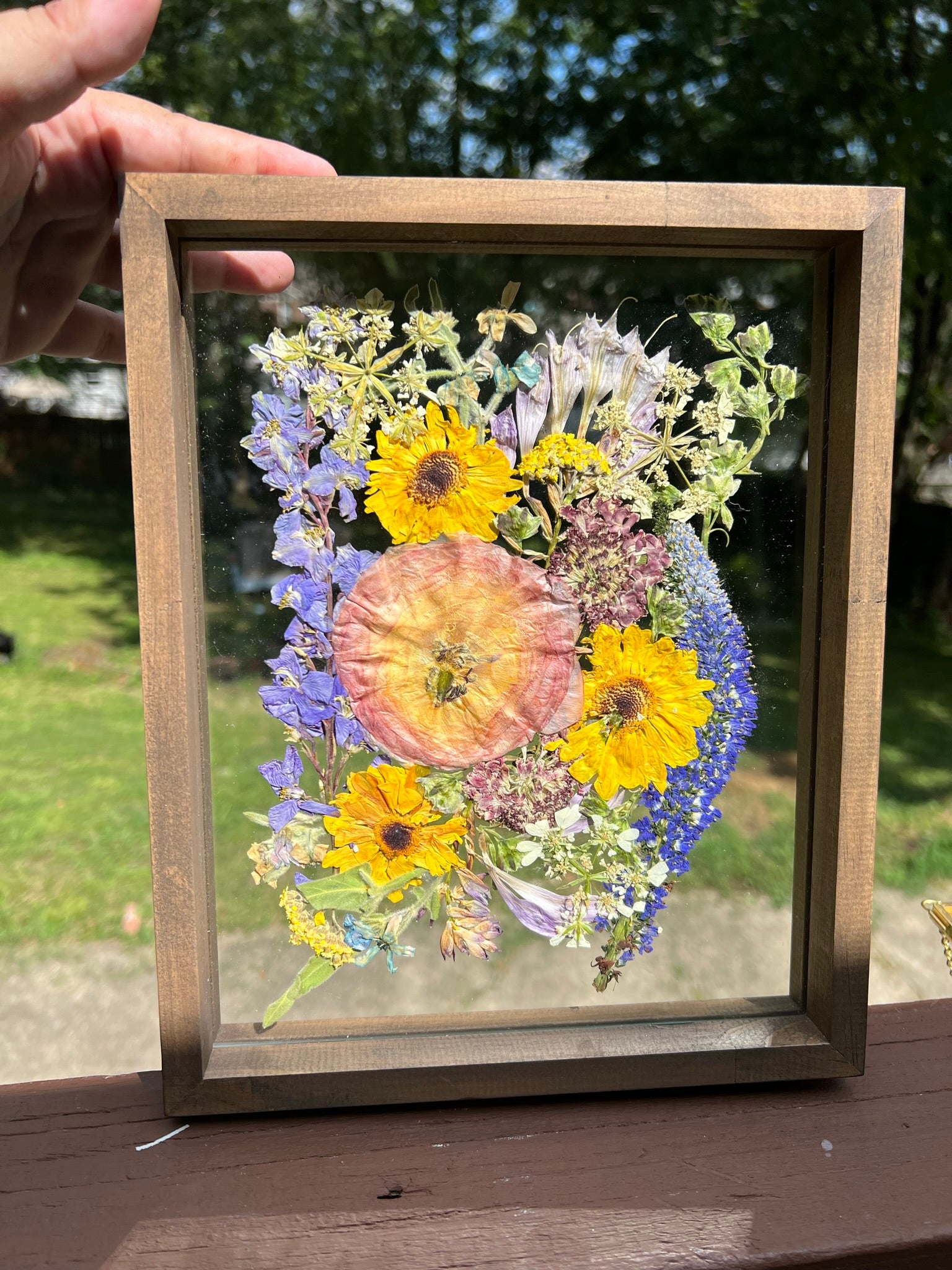 A custom pressed flower floating frame with preserved pink ranunculus , purple veronica , blue delphinium, and yellow daisies .   A beautiful way to preserve a bridal bouquet.