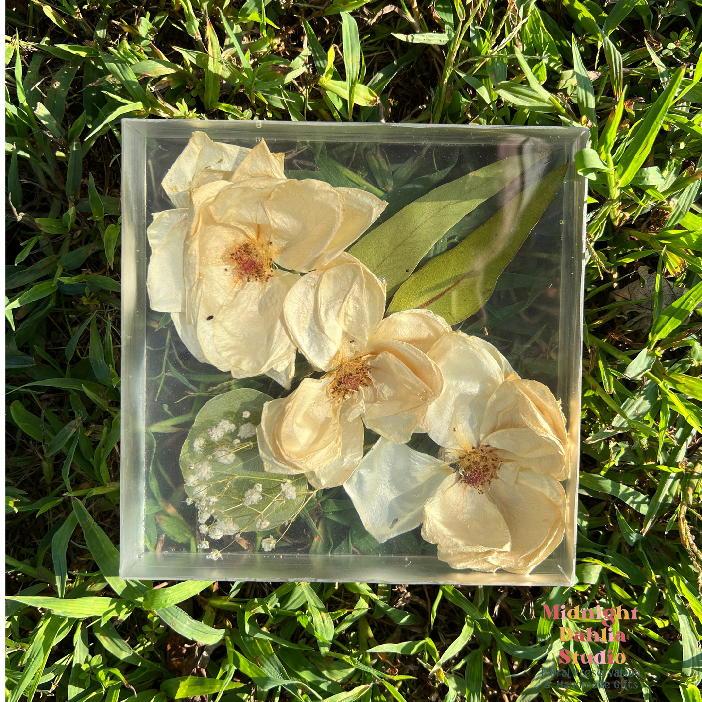 A crystal clear resin block filled with white roses , white babys breath , and leaves . A beautiful way to preserve a bridal bouquet.