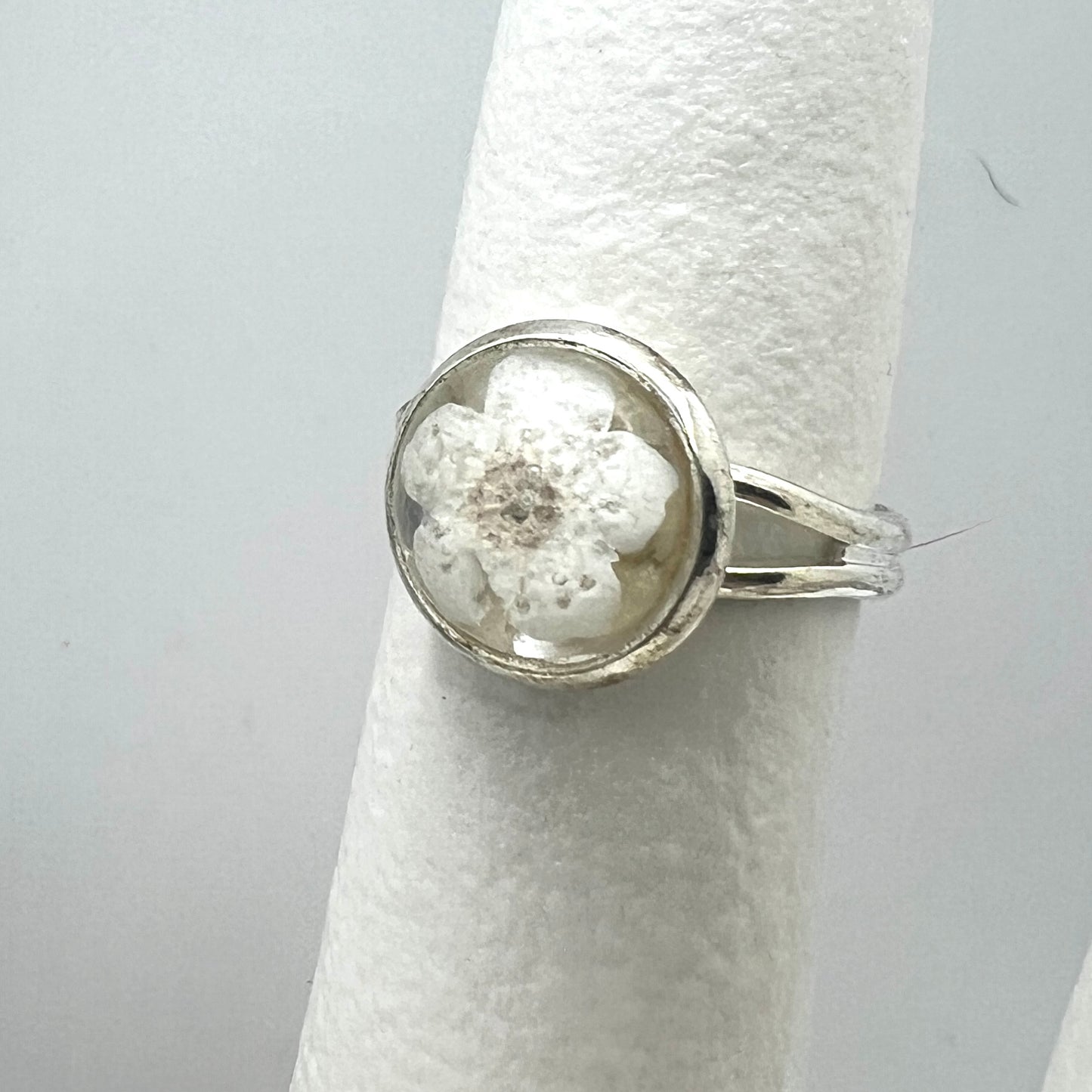 Silver ring with a white forget me not real pressed flower on a gray background