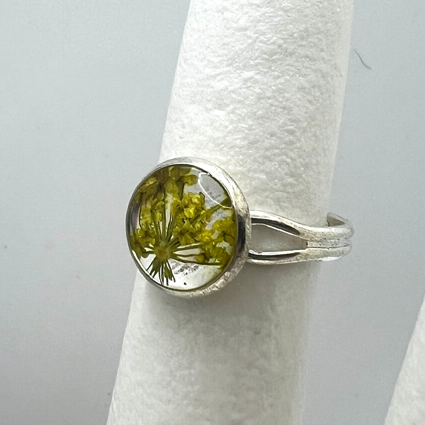 Silver ring with a yellow queen anne's lace real pressed flower on a white cylindrical stand against a gray background