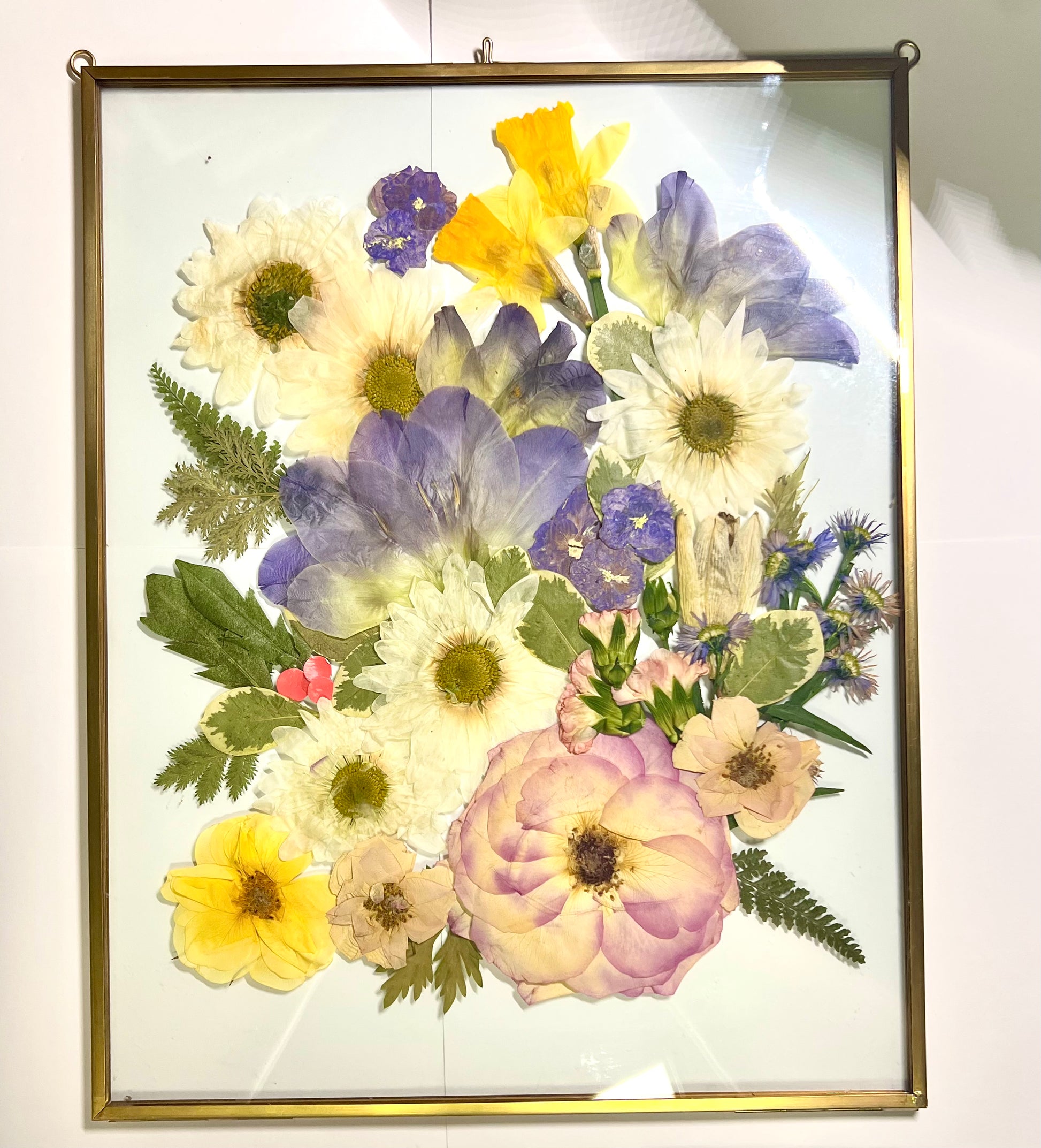 A custom pressed flower floating frame with preserved pink roses, white daisies, yellow daffodils, purple iris, holly, purple pansies, and green leaves .   A beautiful way to preserve a bridal bouquet.