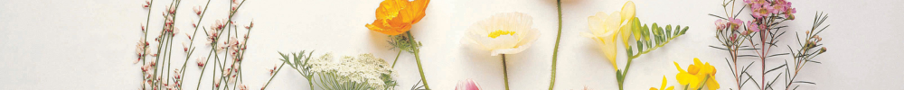 Pressed vs. Resin: Choosing the Right Preservation Style for You