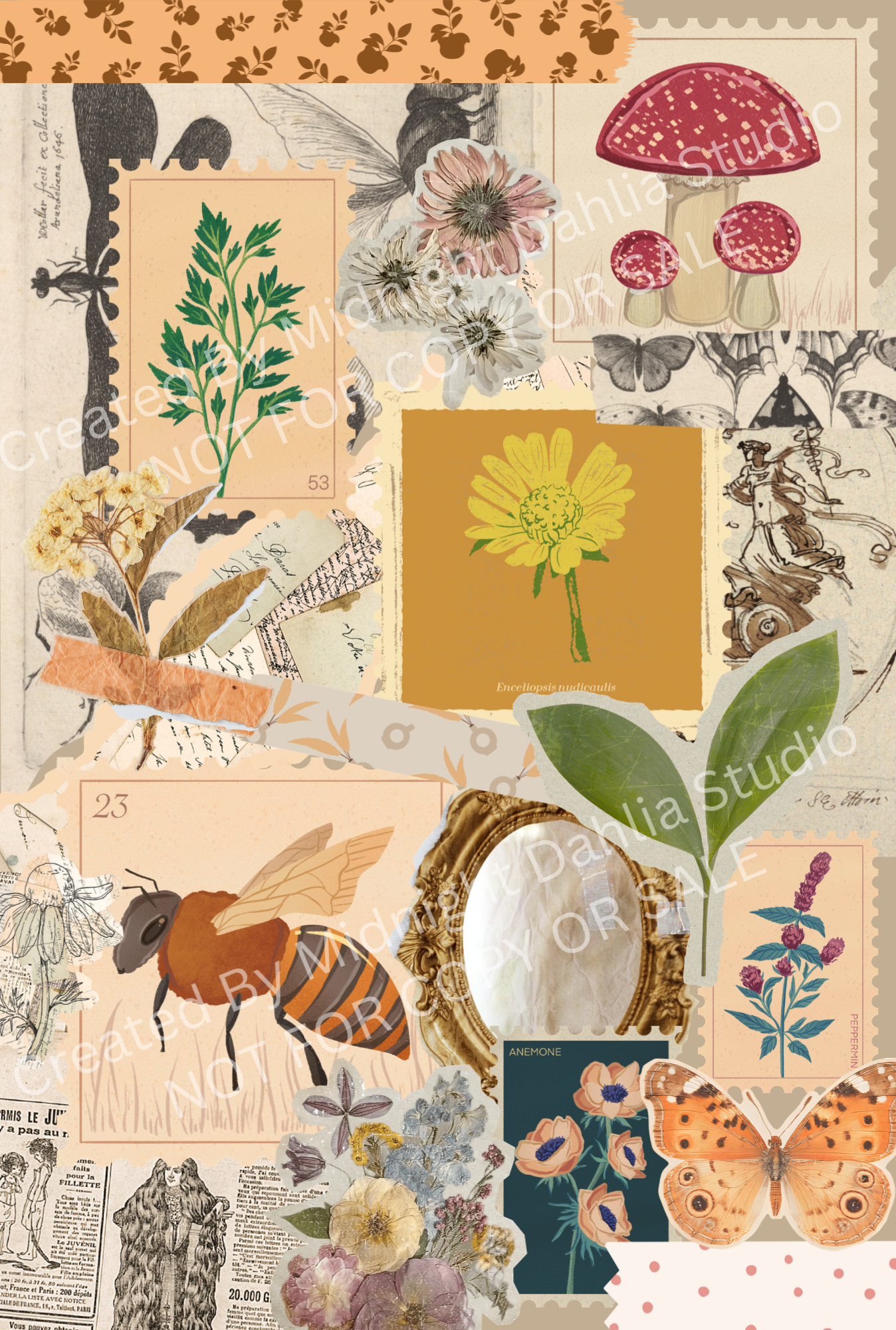 Collage of nature-themed illustrations including plants, insects, and butterflies on a textured background.