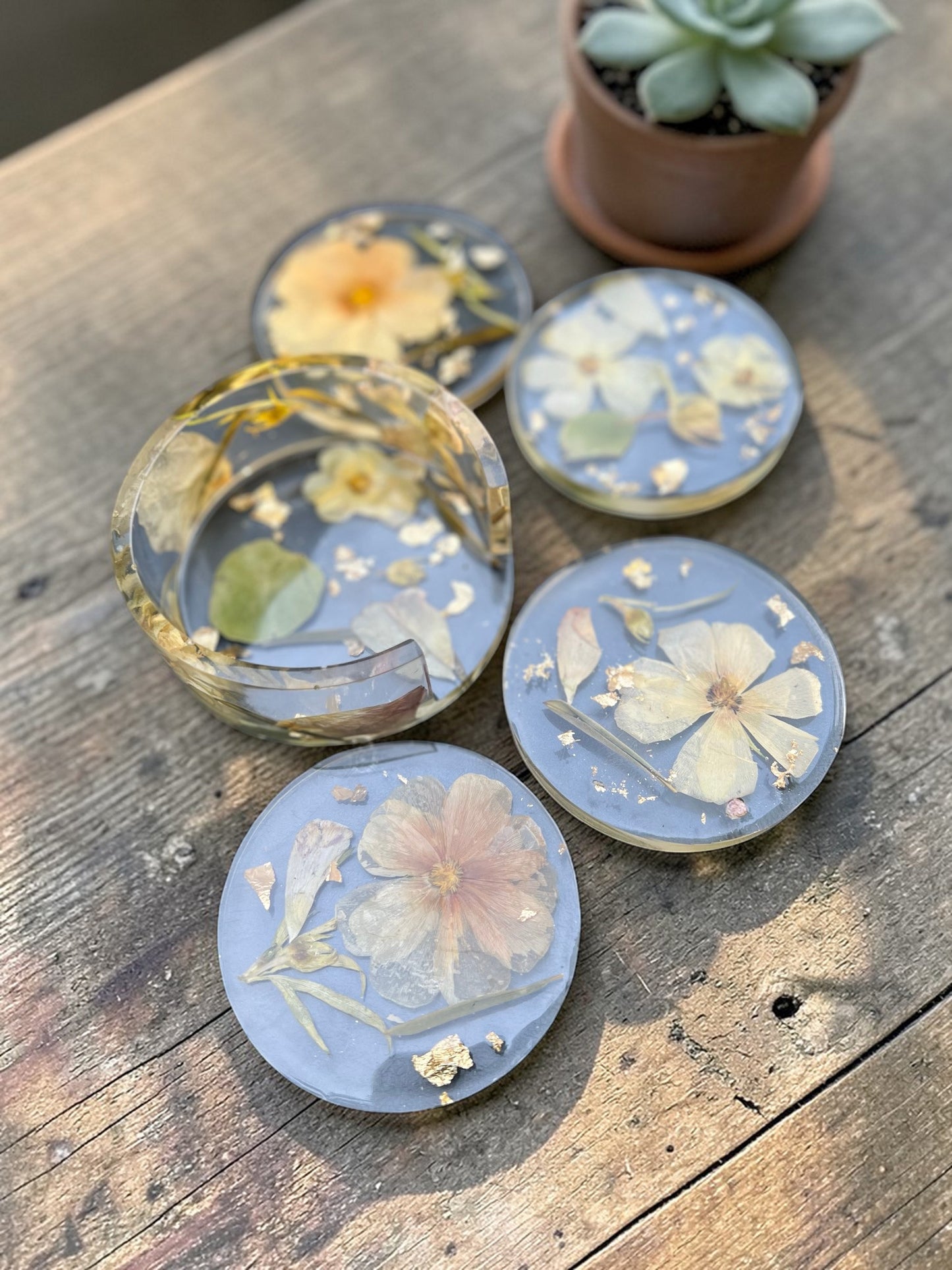 Set of floral coasters on a wooden surface with a potted plant in the background.