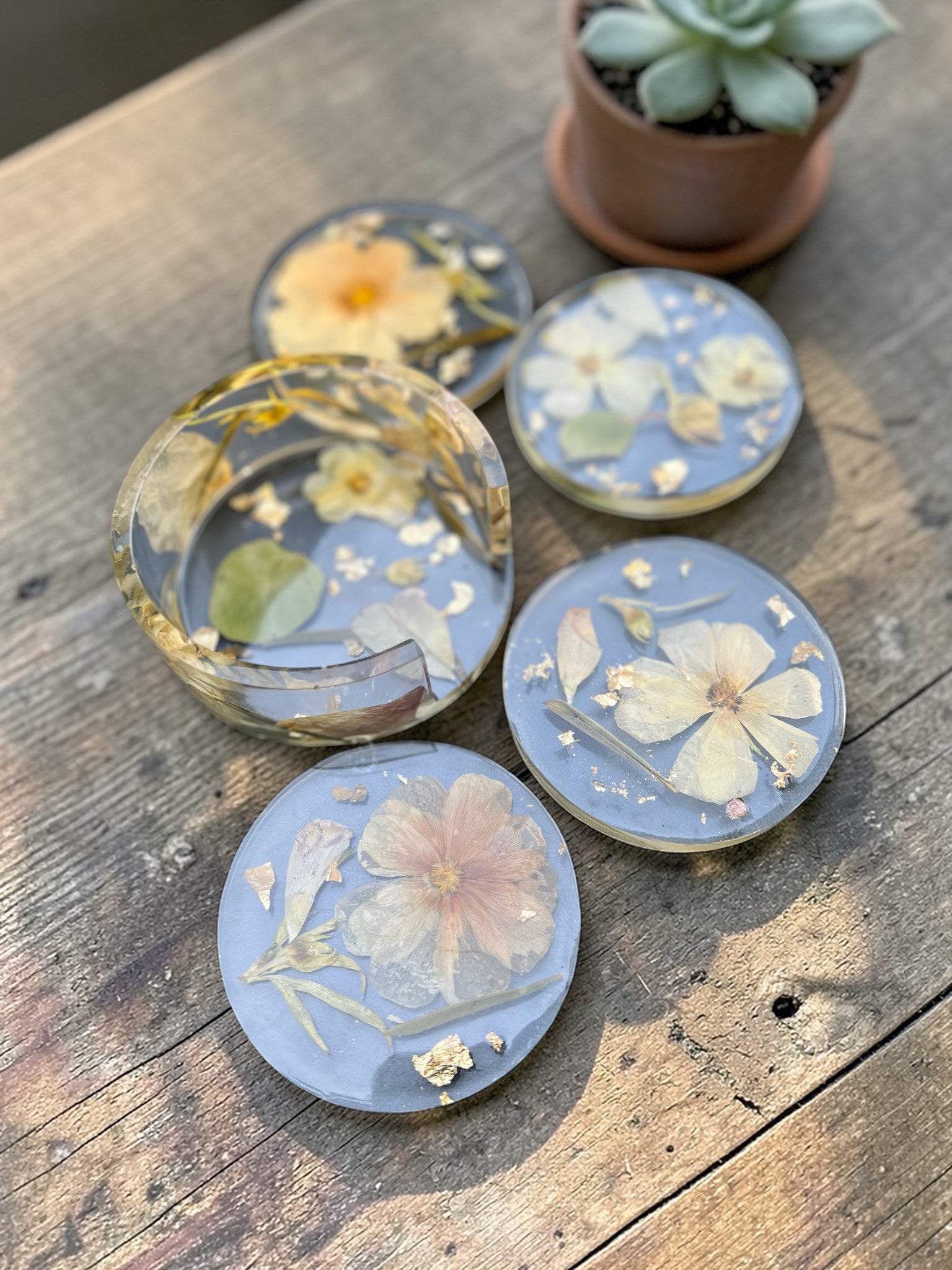 Set of floral coasters on a wooden surface with a potted plant in the background.