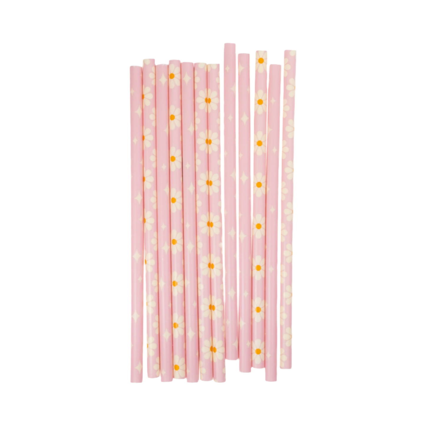 Disco Daisy Reusable Straws