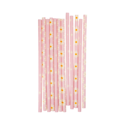 Disco Daisy Reusable Straws