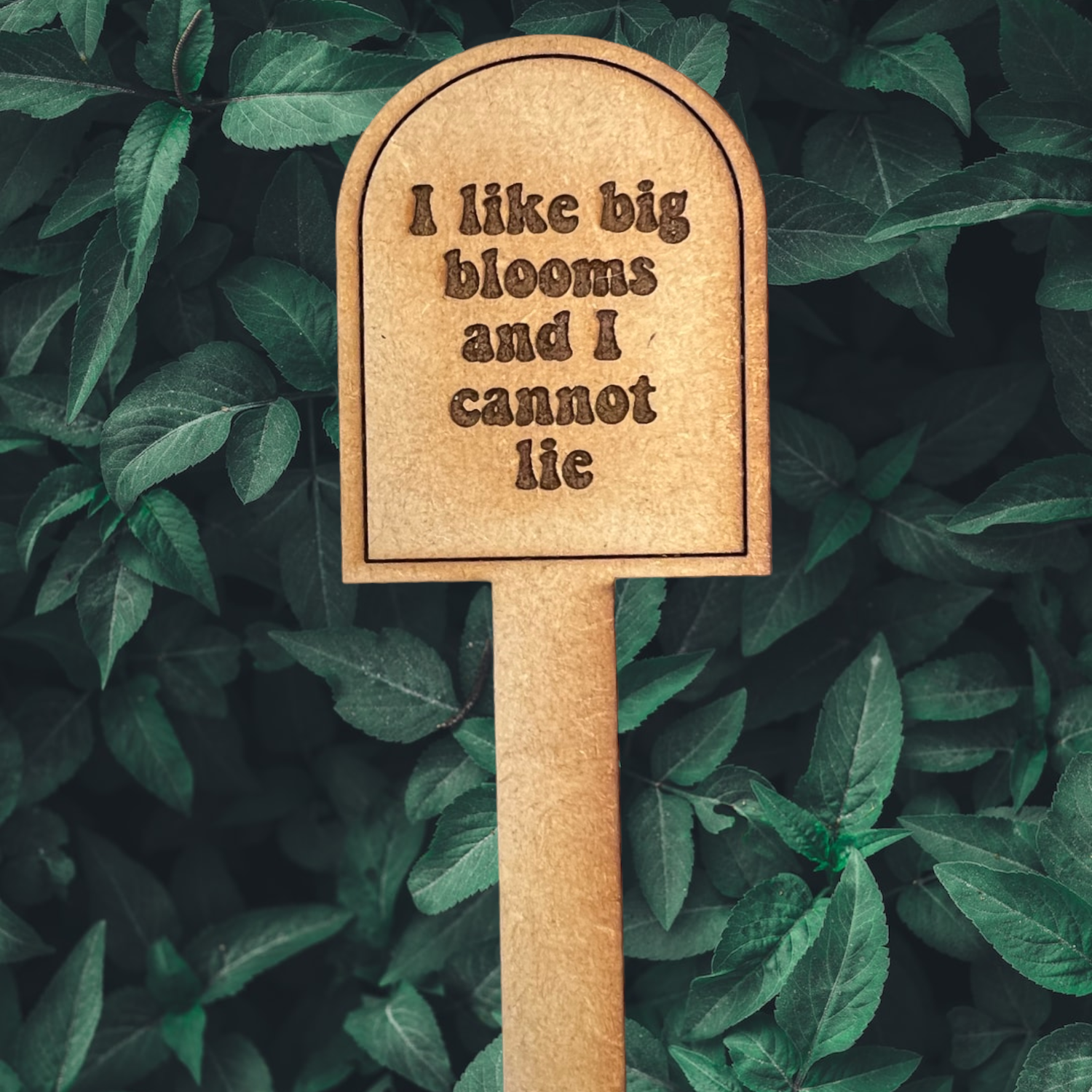 indoor plant stake Snarky Plant Stakes
