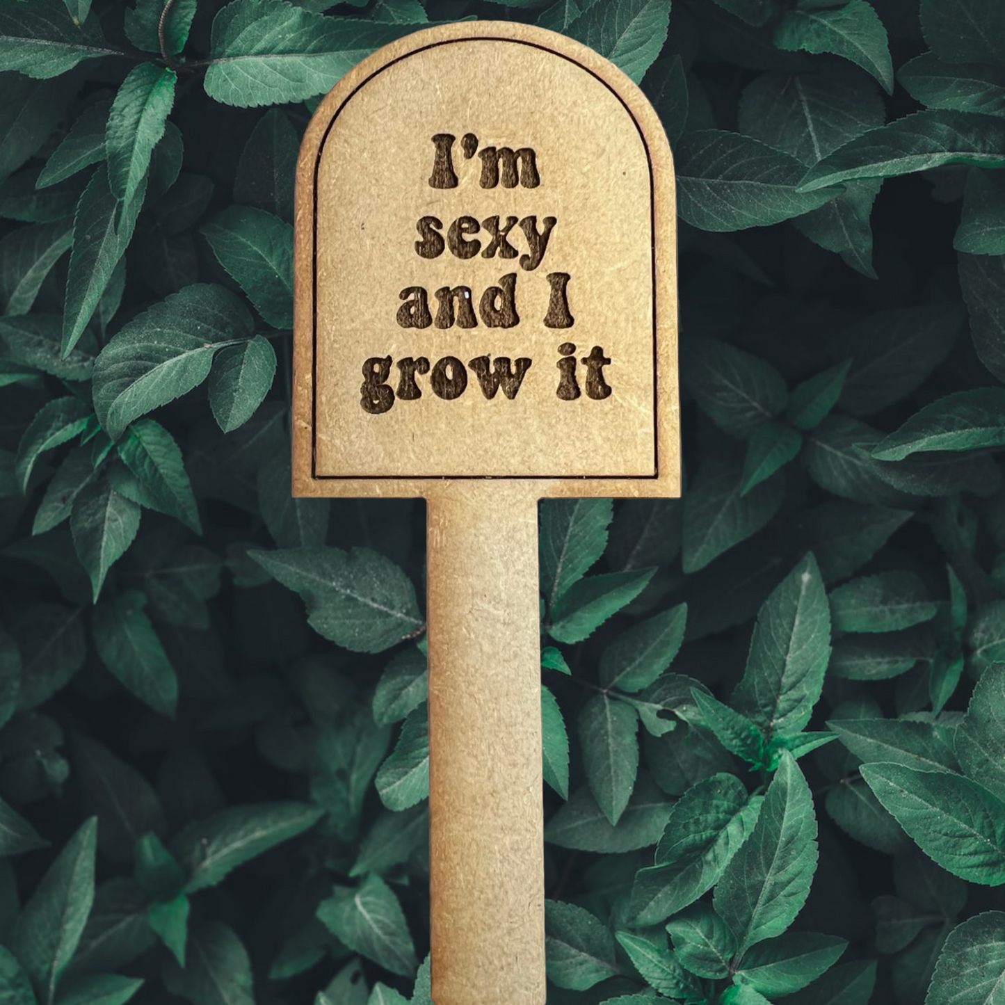 Snarky Plant Stakes