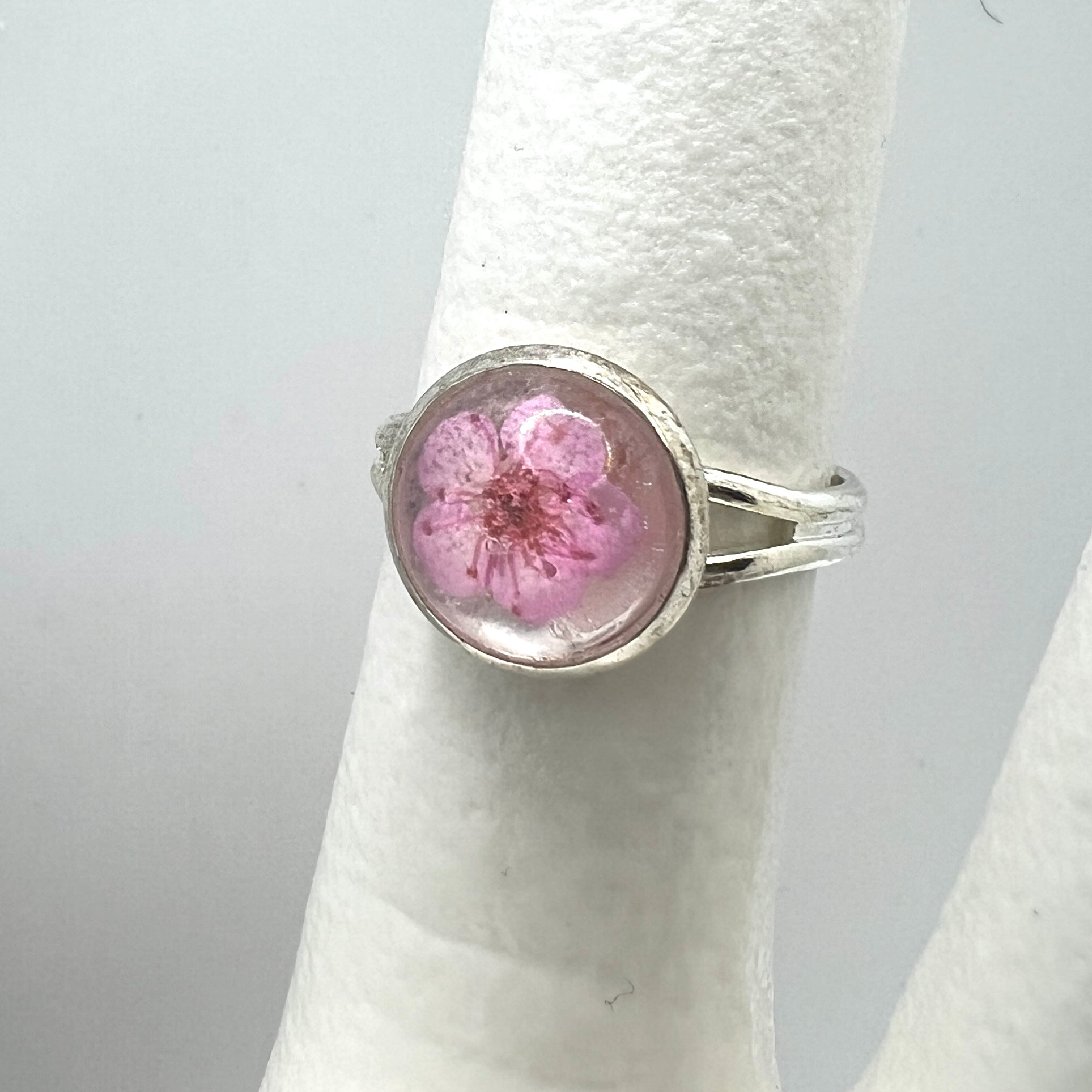 Silver ring with a pink forget me real pressed flower on a white background
