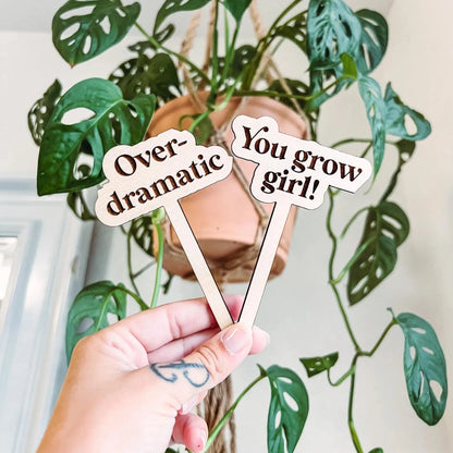 Snarky Plant Stakes