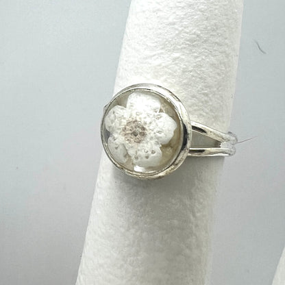 Silver ring with a white forget me not real pressed flower on a gray background