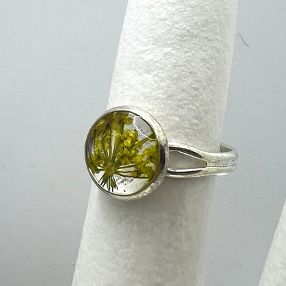 Silver ring with a yellow queen anne's lace real pressed flower on a white cylindrical stand against a gray background
